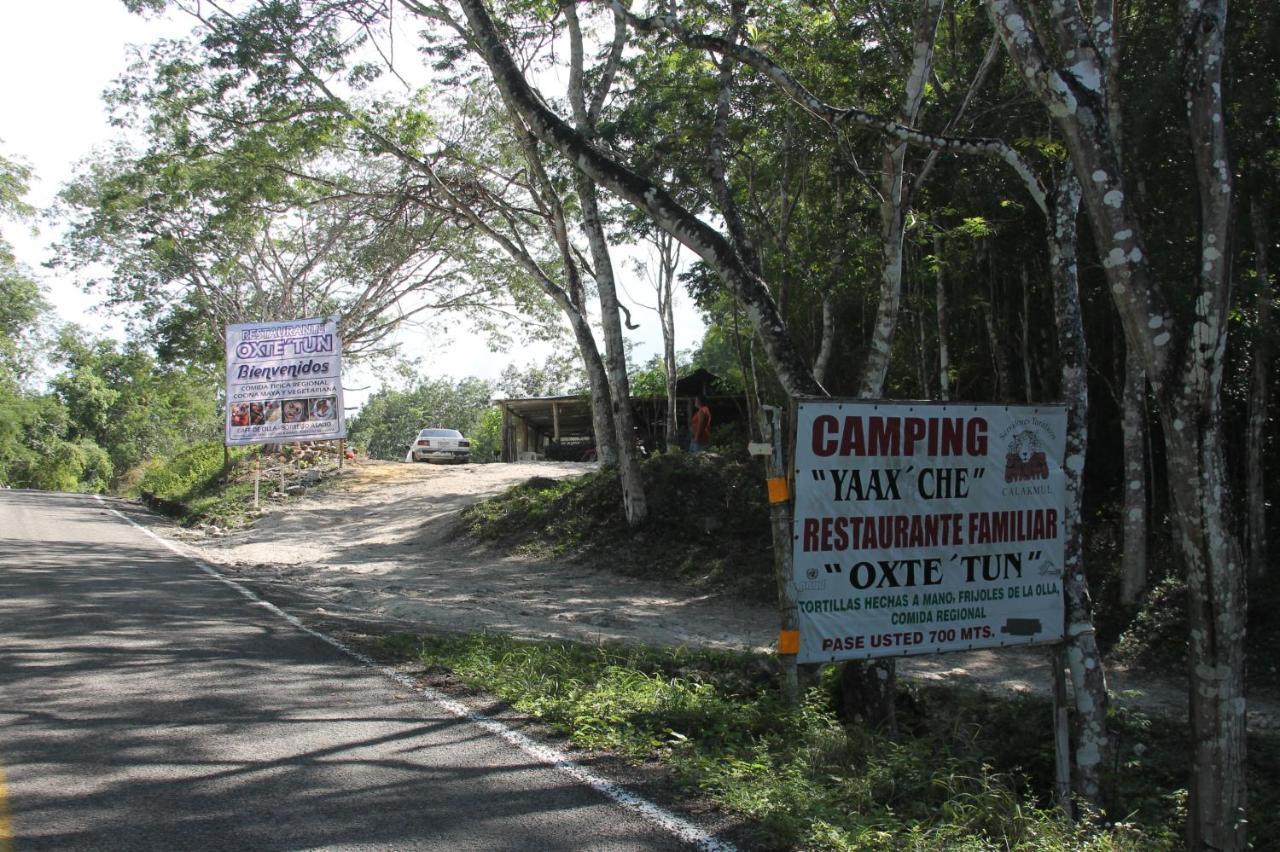 Campamento Yaax Che En Calakmul Conhuas Exterior photo