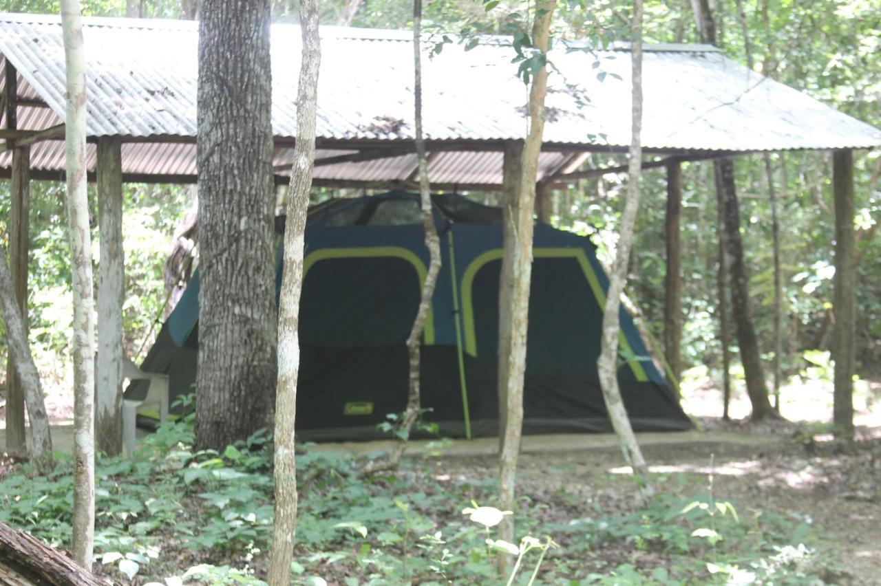 Campamento Yaax Che En Calakmul Conhuas Exterior photo