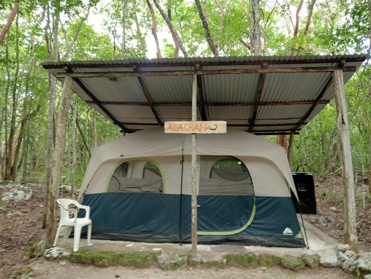 Campamento Yaax Che En Calakmul Conhuas Room photo