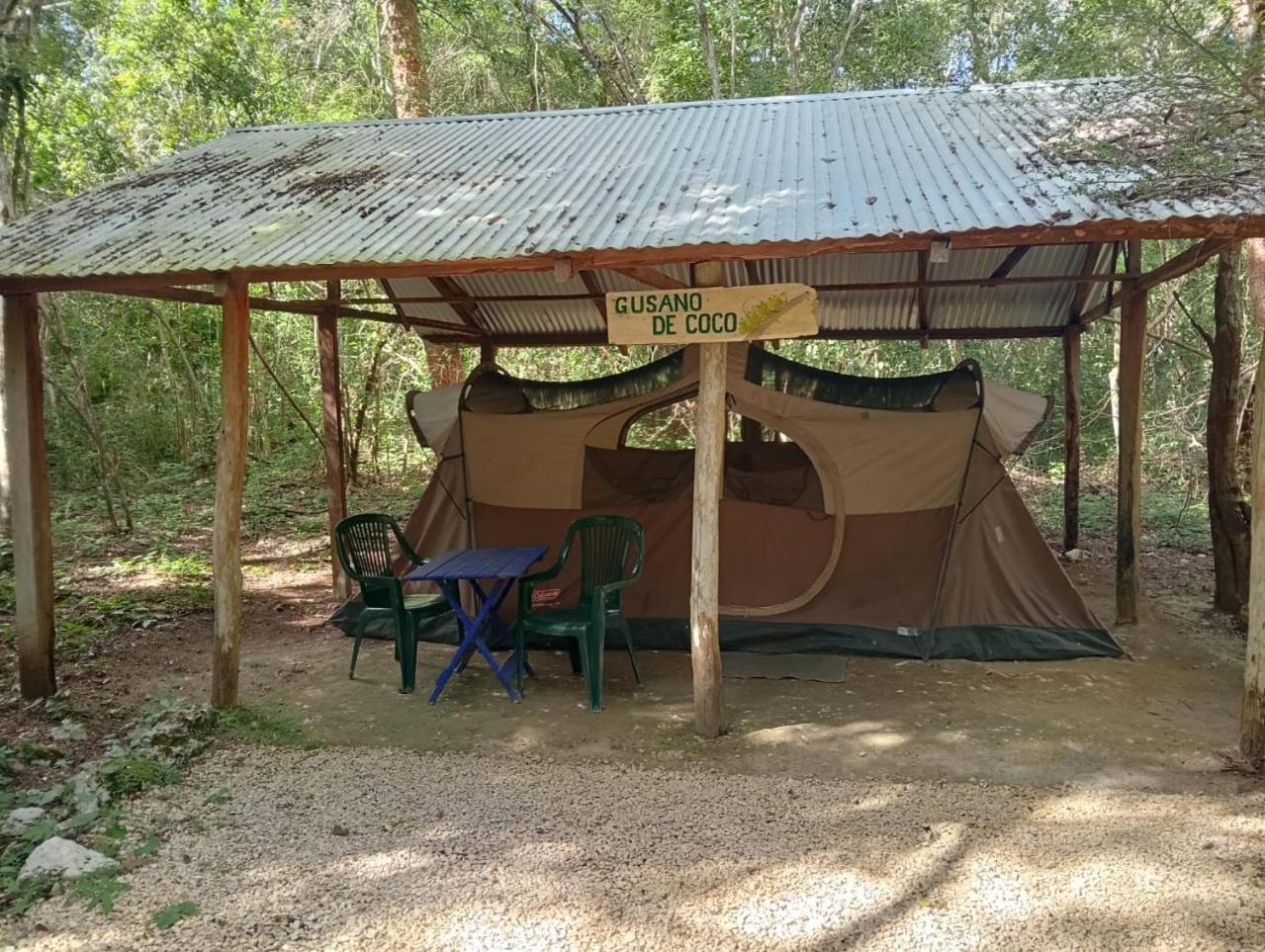 Campamento Yaax Che En Calakmul Conhuas Exterior photo