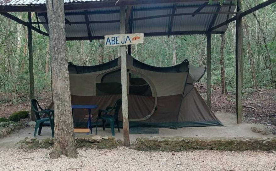 Campamento Yaax Che En Calakmul Conhuas Exterior photo