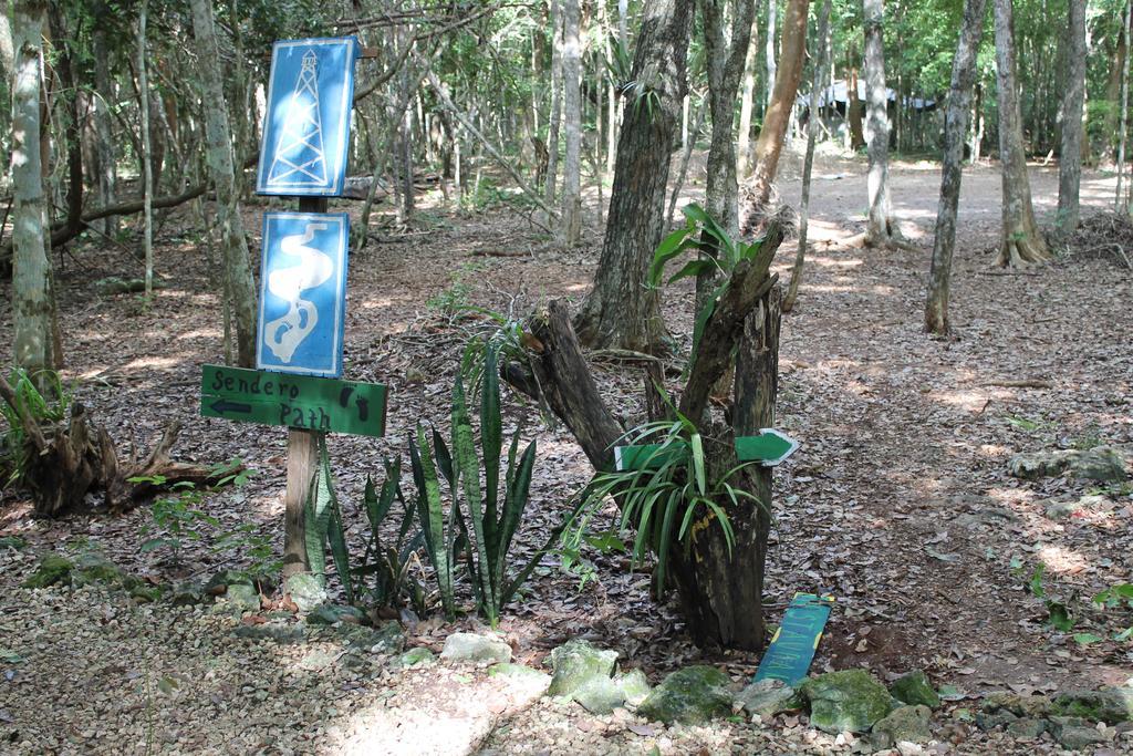 Campamento Yaax Che En Calakmul Conhuas Exterior photo